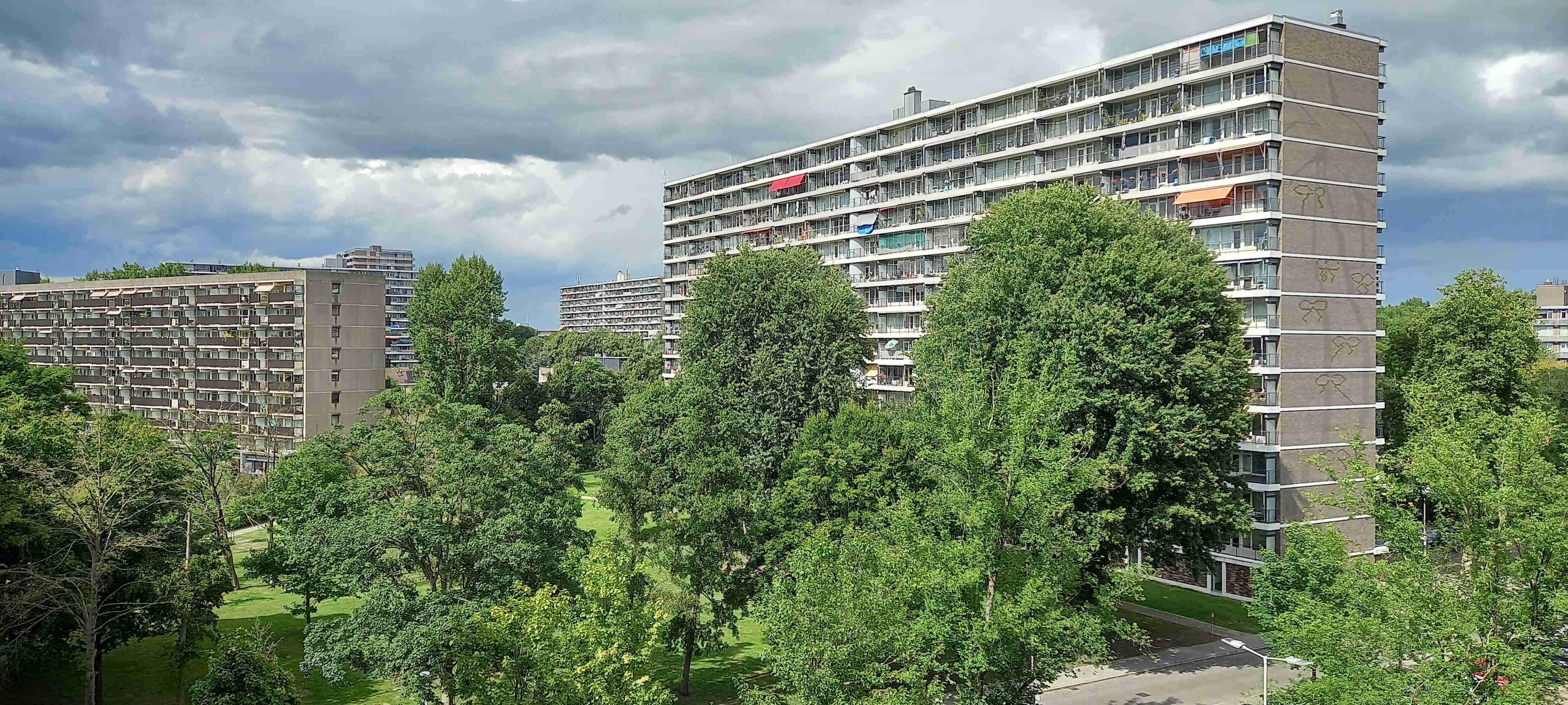 Vanaf Kelloggflat-2025